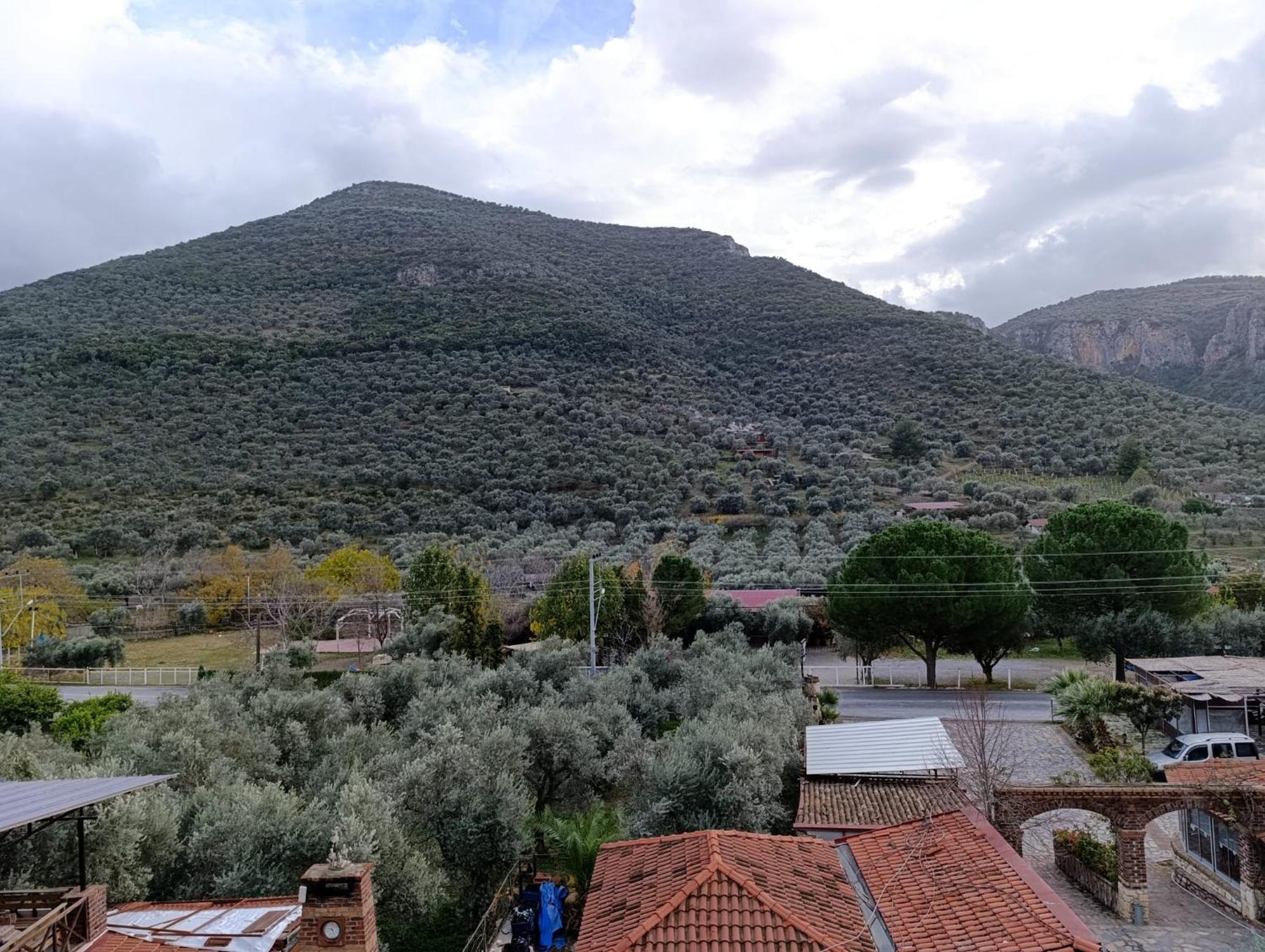 Homestay Tas Evler Butik Sirince